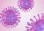 coronavirus-brandbox