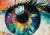 oog