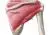 rotator cuff