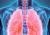 Ilustratie longen