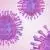 coronavirus-brandbox