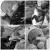 Foto, collage van zwart-wit foto's van babies met zondevoeding