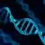 DNA