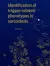 The cover of Identification of trigger-related phenotypes in sarcoidosis