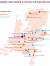 Kaart van het expertise centrum en andere behandelcentra.